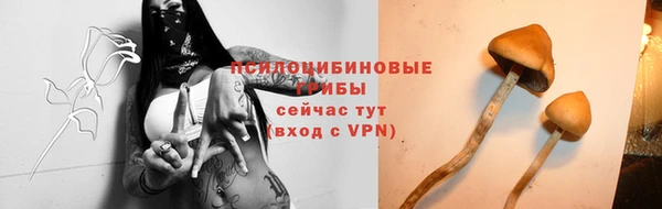 скорость Липки
