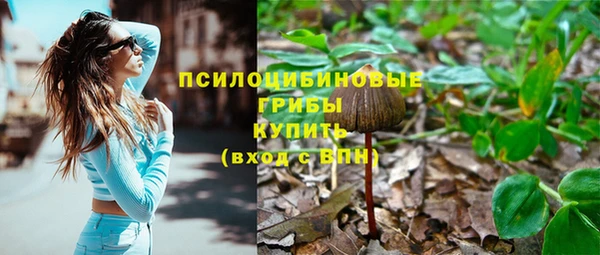 тгк Лиски