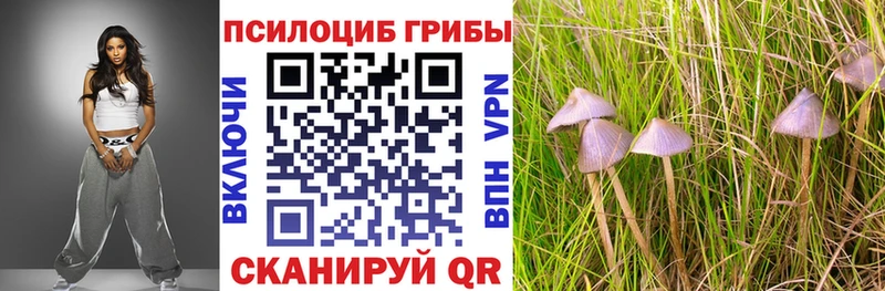 Псилоцибиновые грибы Cubensis Хвалынск